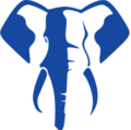 cropped elephant sport@2x.png