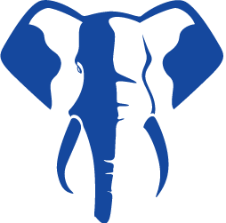 cropped elephant sport@2x.png